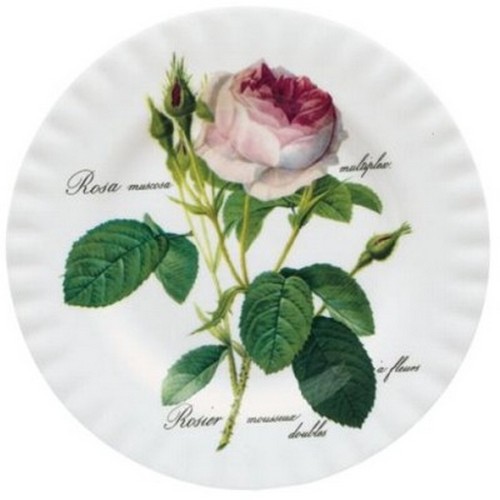 Roy Kirkham Redoute Rose Frühstücksteller 21 cm Teller