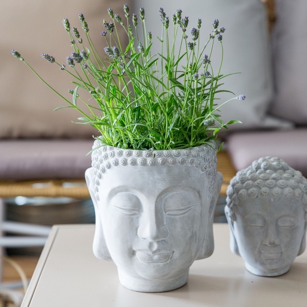 Pflanztopf Buddha Kopf zum Bepflanzen 20,5 cm